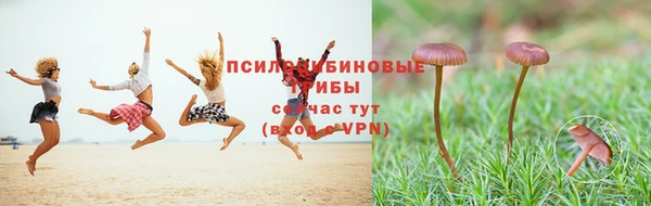 мдпв Балабаново